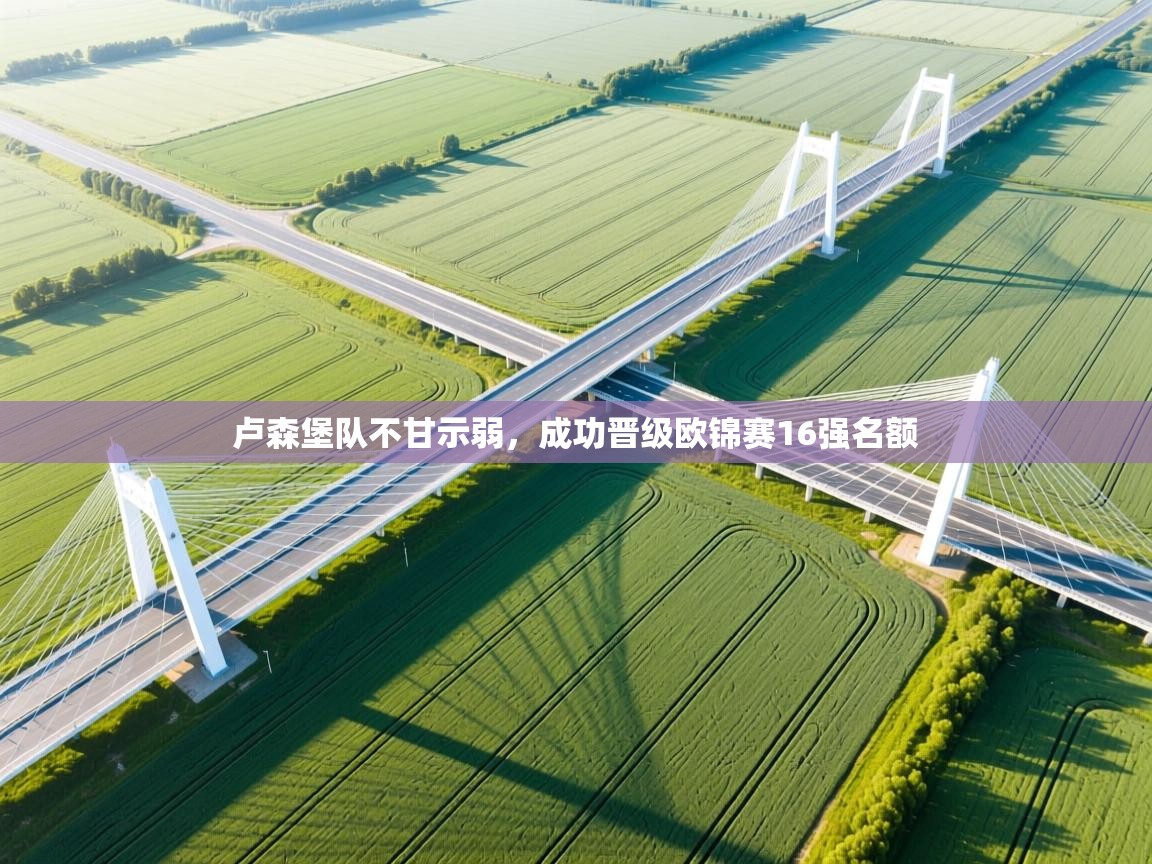 卢森堡队不甘示弱，成功晋级欧锦赛16强名额  第2张