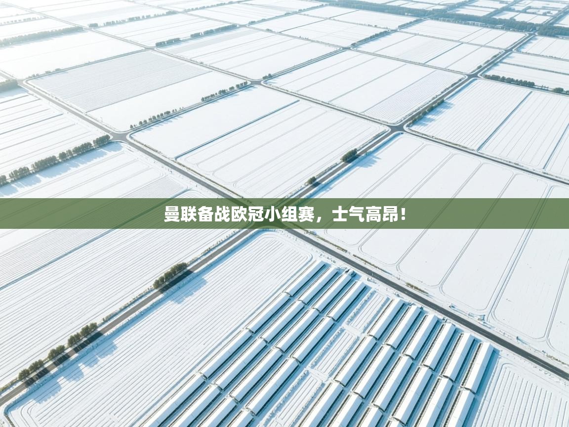 曼联备战欧冠小组赛，士气高昂！  第2张