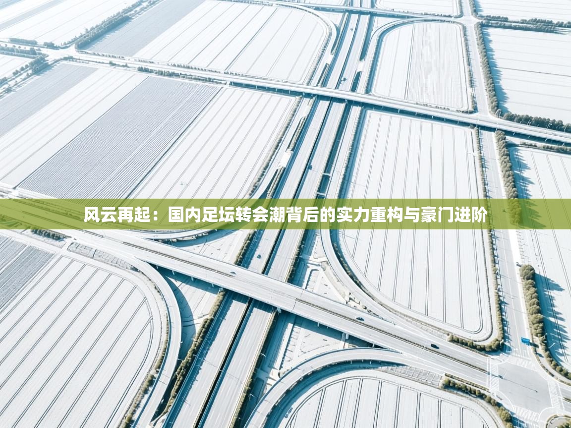 风云再起:国内足坛转会潮背后的实力重构与豪门进阶 第1张
