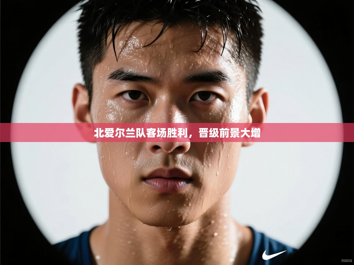 北爱尔兰队客场胜利,晋级前景大增 第1张