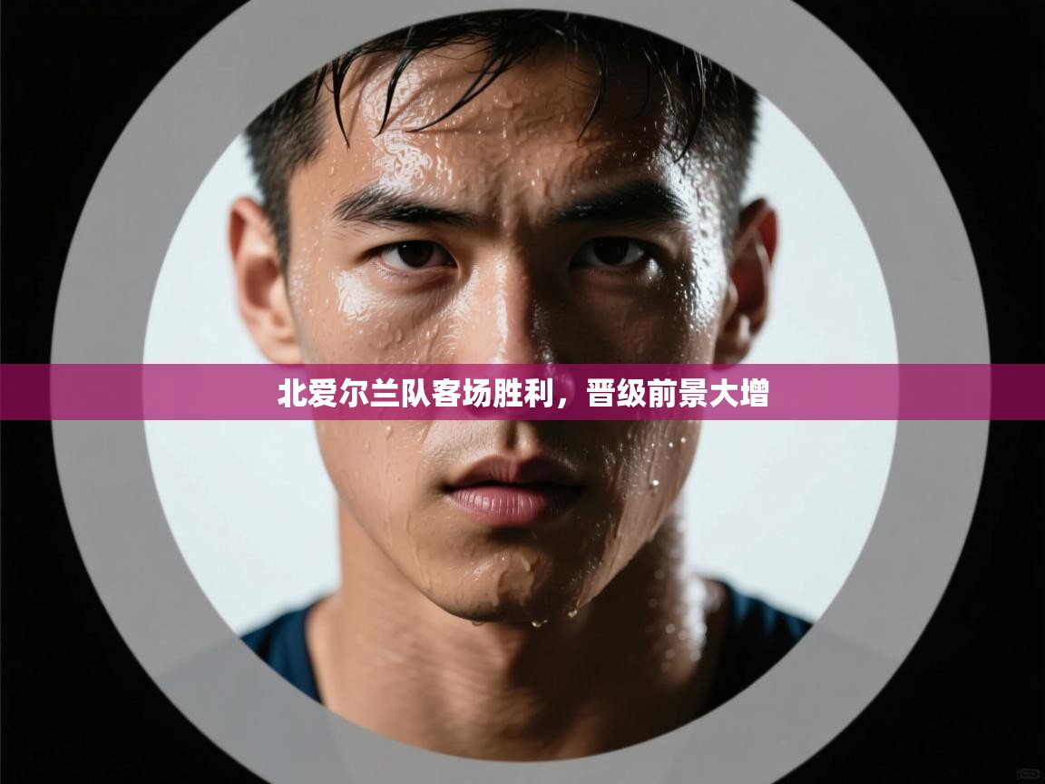 北爱尔兰队客场胜利,晋级前景大增 第2张