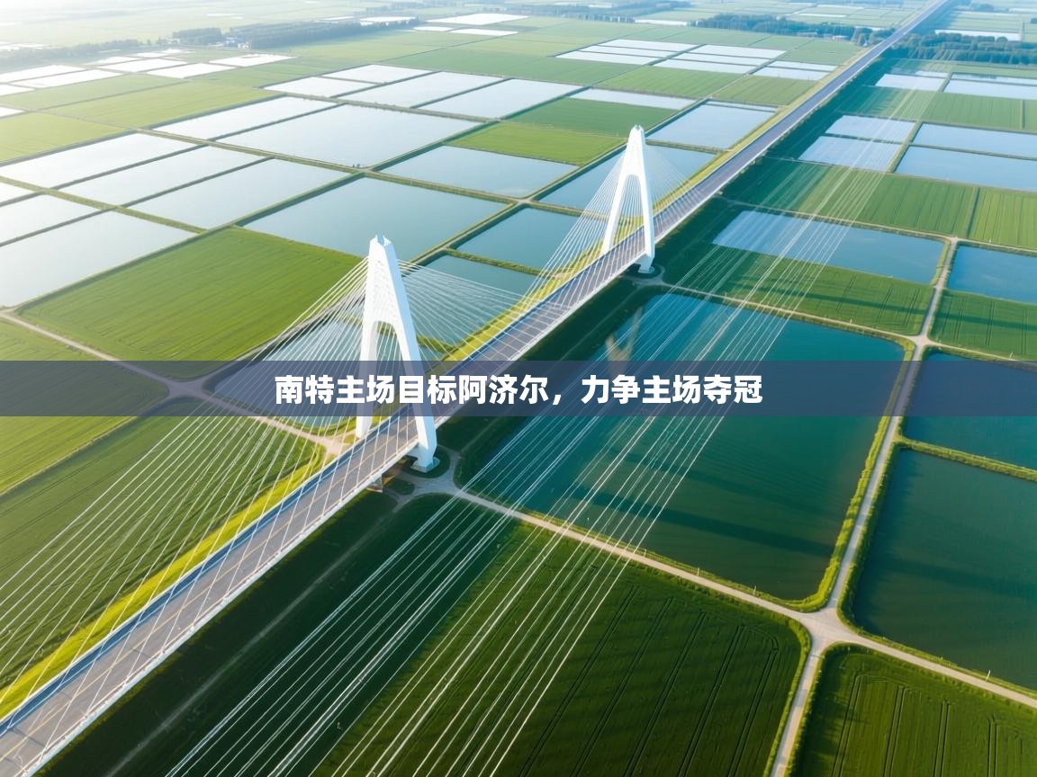 南特主场目标阿济尔，力争主场夺冠  第2张